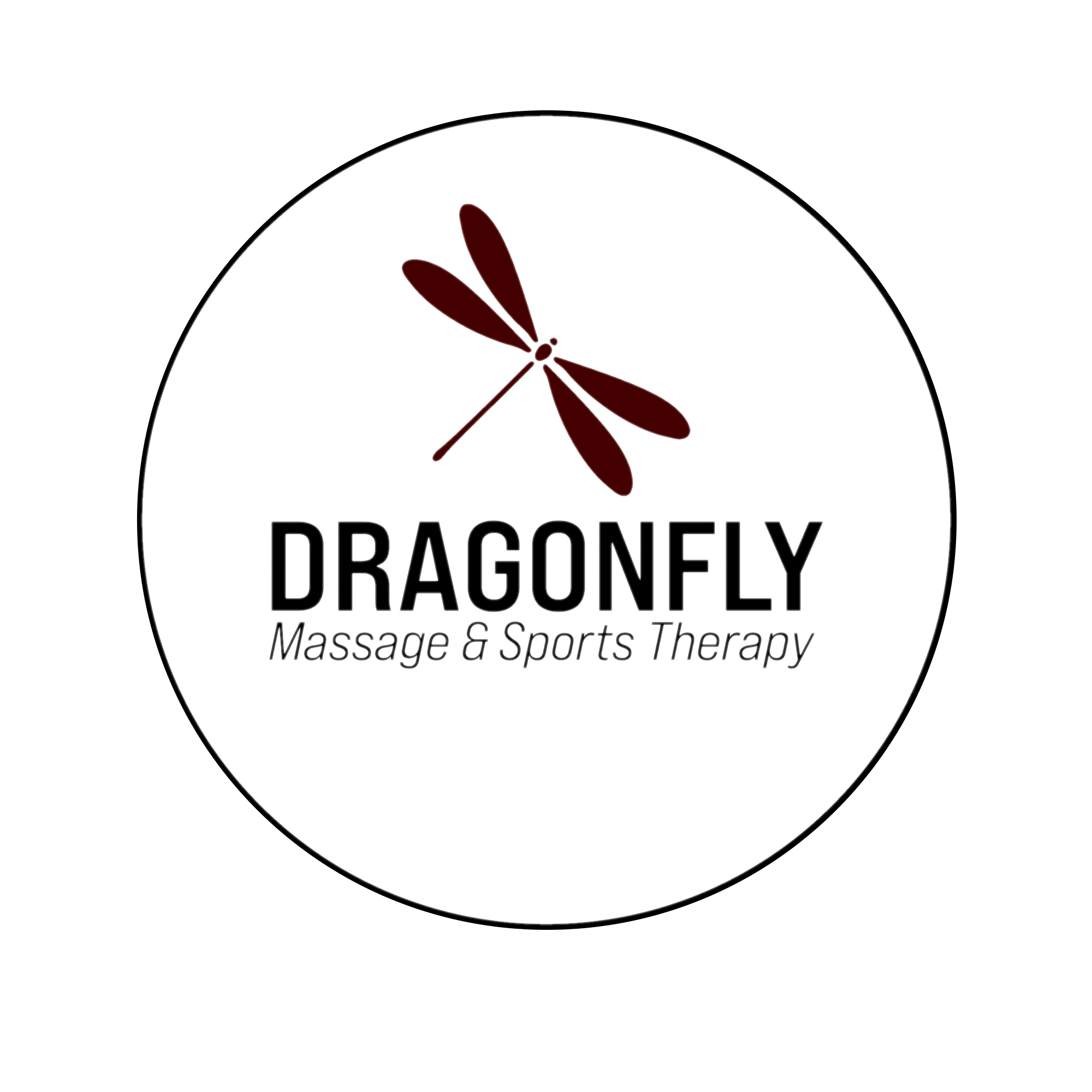 Dragonfly Logo